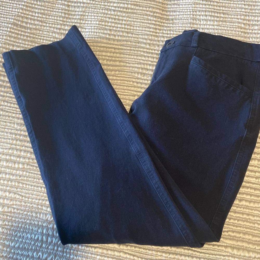 Banana Republic 4 Cropped Pants Blue